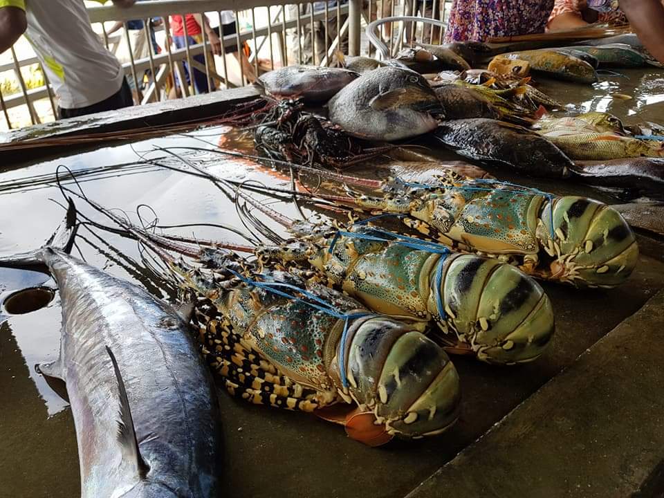 24862656_1960086667587996_4925122414694801859_n