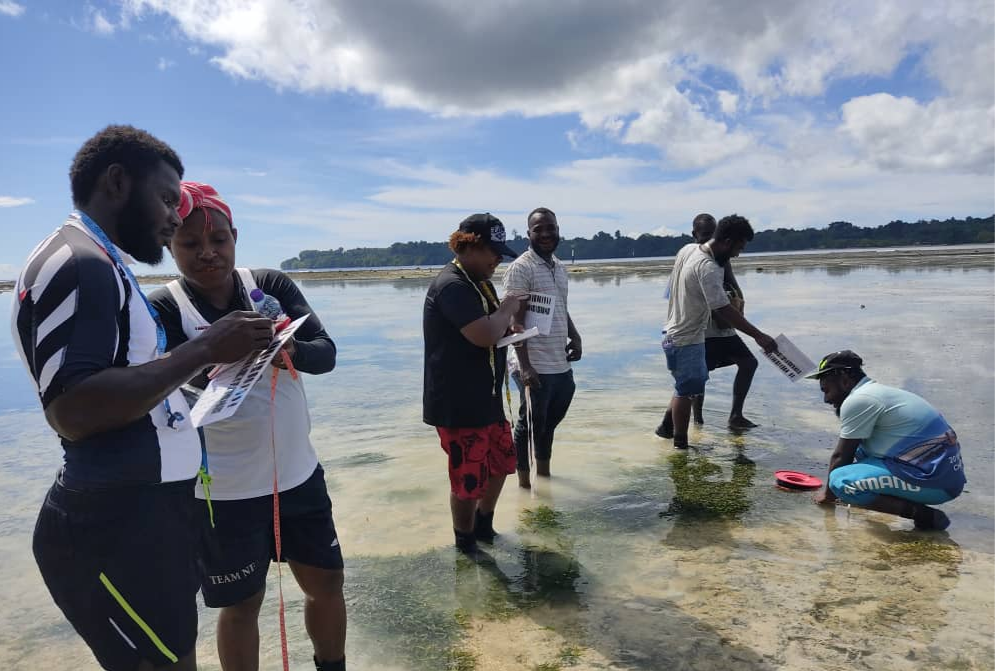 2c6676_46958309718344feafe0b130e6639cdf~mv2