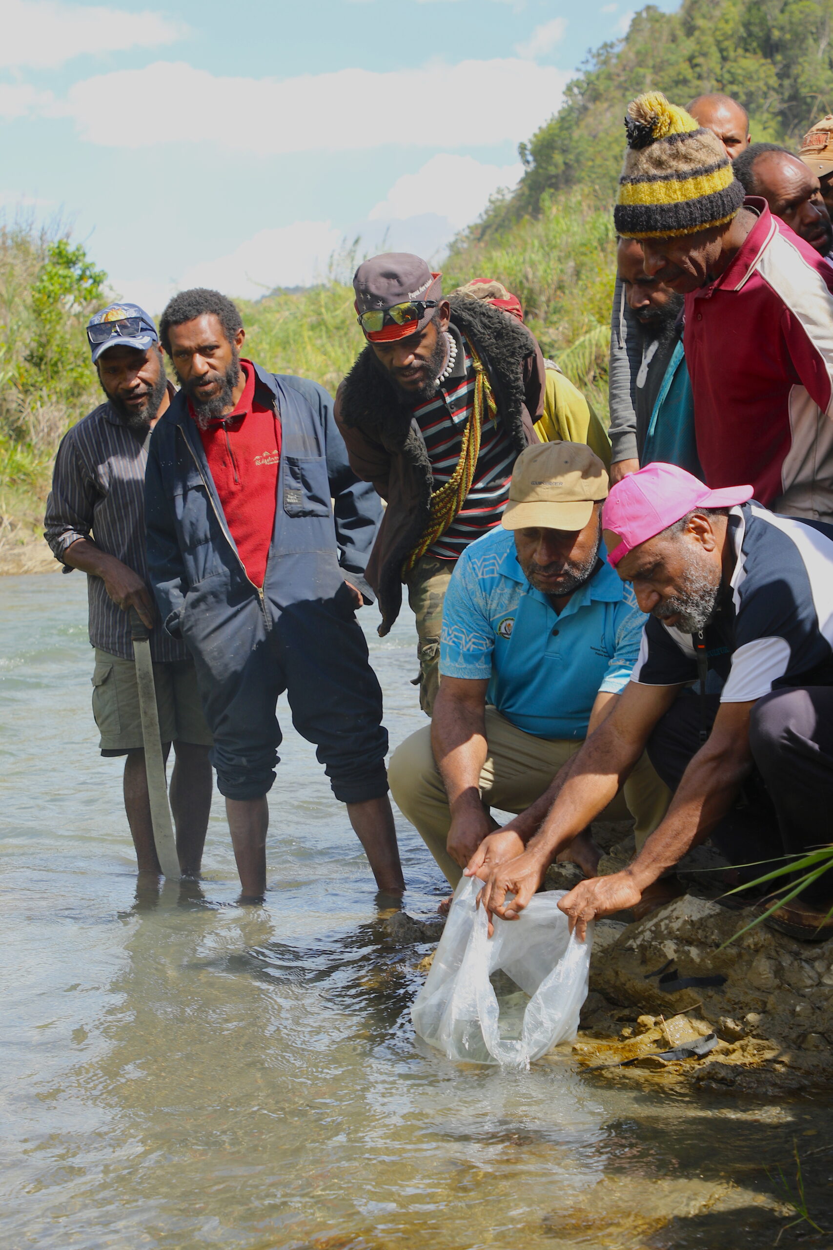 Fisheries Minister restocks Fish into Enga Rivers _